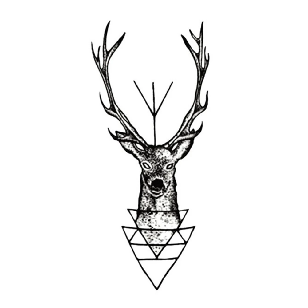 elk horn men Find great deals on ebay for elk horn fern shop with confidence. elk horn men Find great deals on ebay for elk horn fern shop with confidence.