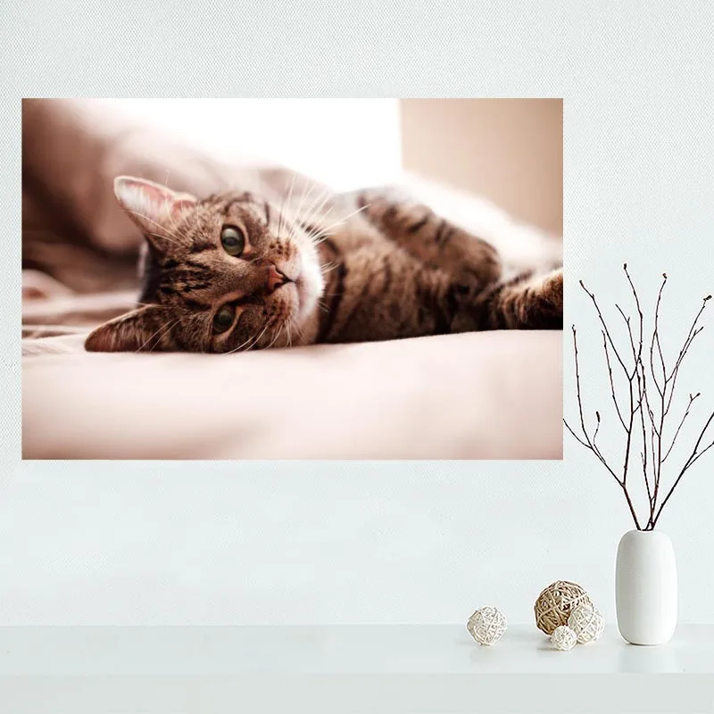 Nice Custom Animal Lovely Cat Canvas Poster Print Painting Art Wall Silk Poster Cloth Print Fabric Poster