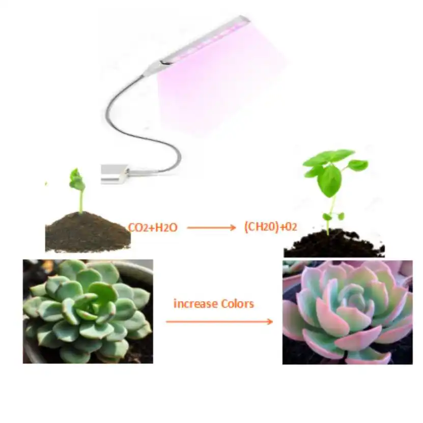 Usb Full Spectrum Led Plant Grow Light Bulb Dc5v Fitolampy Phyto