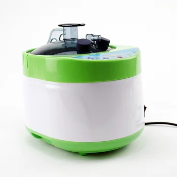 

Steam Turbine 220V EU Plug 2000W 4L Generator Steam