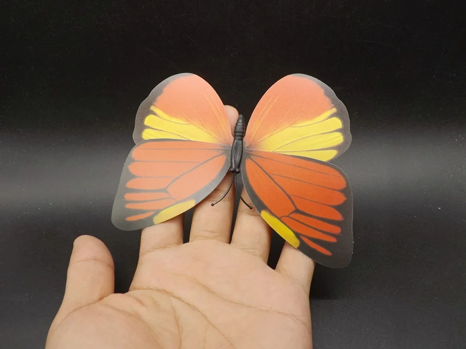 I229-Butterfly (3)