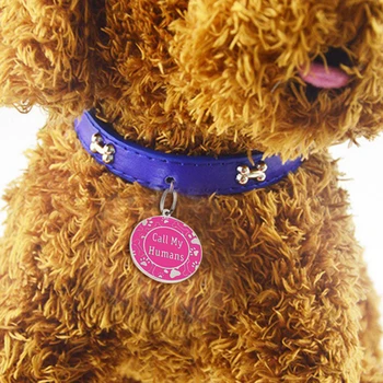 

Anti-lost Dog Tag Personalized Cat Puppy ID Tag Stainless Steel Paw Name Tags Pendant Engraved Pet Dog Collar Accessories