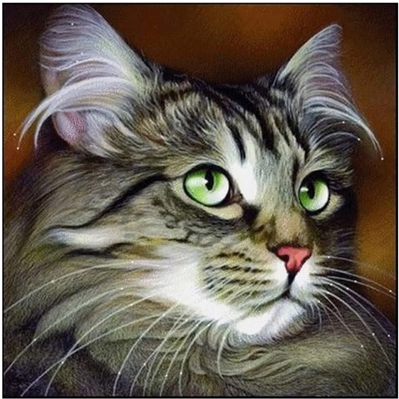 5D-DIY-Diamond-Painting-Animal-Diamond-Mosaic-Embroidered-Cat-Pattern-Hobbies-Crafts-Home-Decoration-Gifts