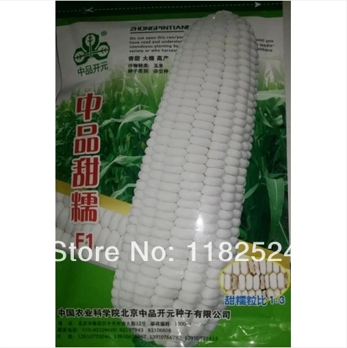 200g Branco Doce Glutinoso Sementes De Milho sementes de hortaliças *