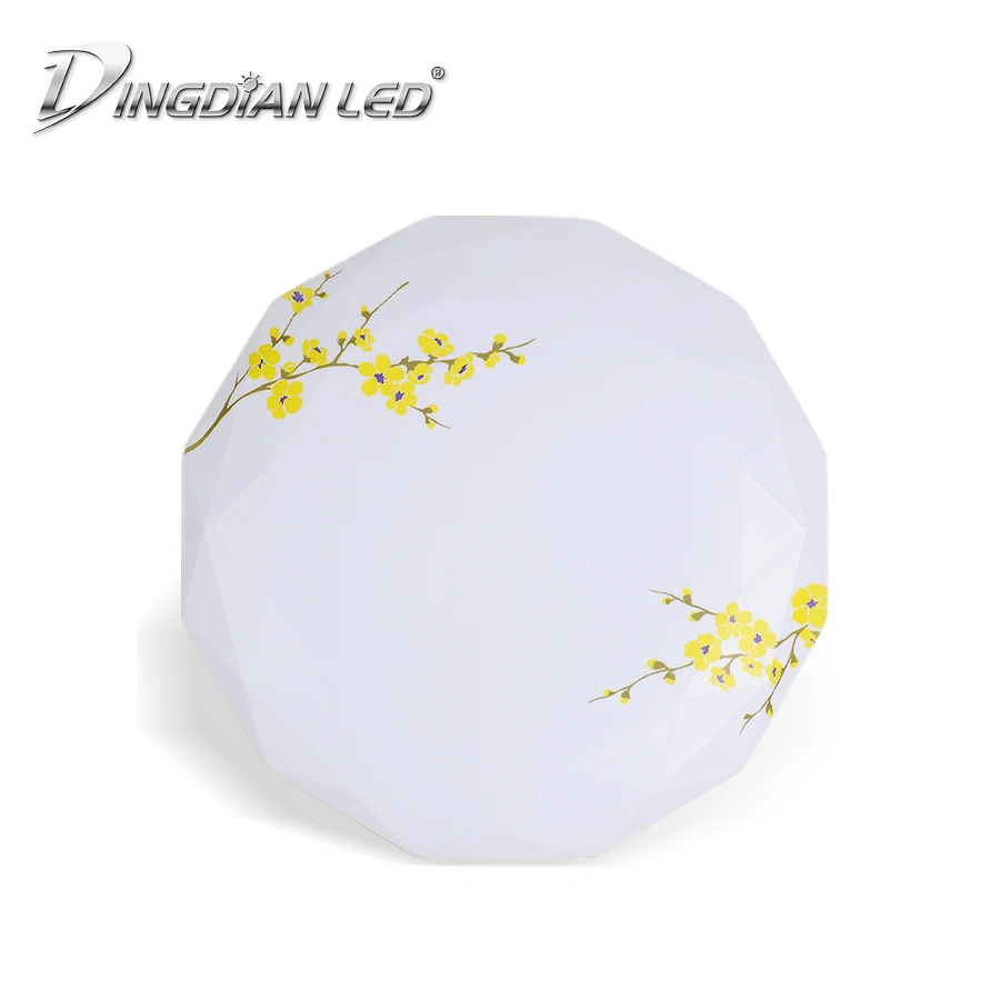 

Ultra Thin Printed Ceiling Light AC220V 24W Easy Installation Indoor UFO Light Dustyproof Led Ceiling Lamp Bedroom Kitchen Lamp