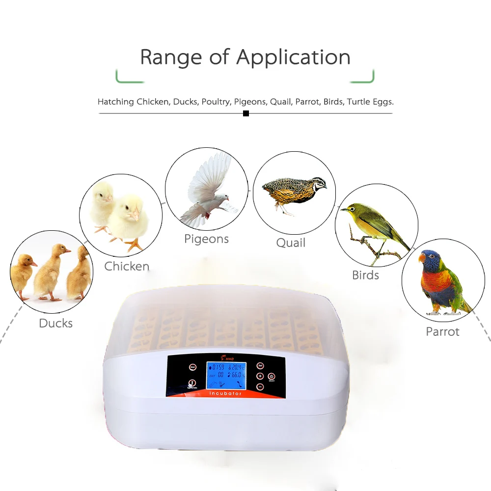 56 Automatic Egg Incubator Digital Clear Egg Turning Temperature Control Farm Hatchery Machine Chicken Egg Hatcher Brooder 56 Automatic Egg Incubator Digital Clear Egg Turning Temperature Control Farm Hatchery Machine Chicken Egg Hatcher Brooder