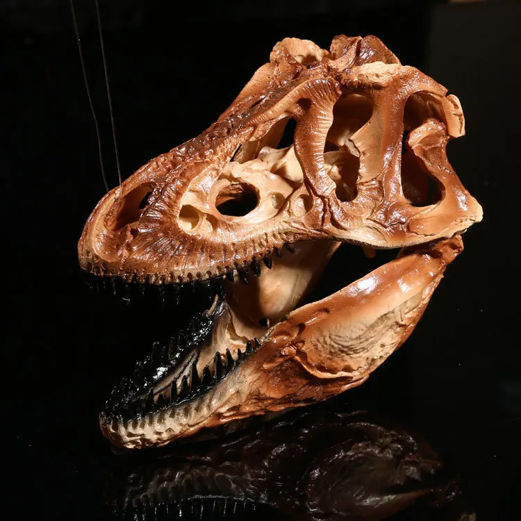 resin t rex skull