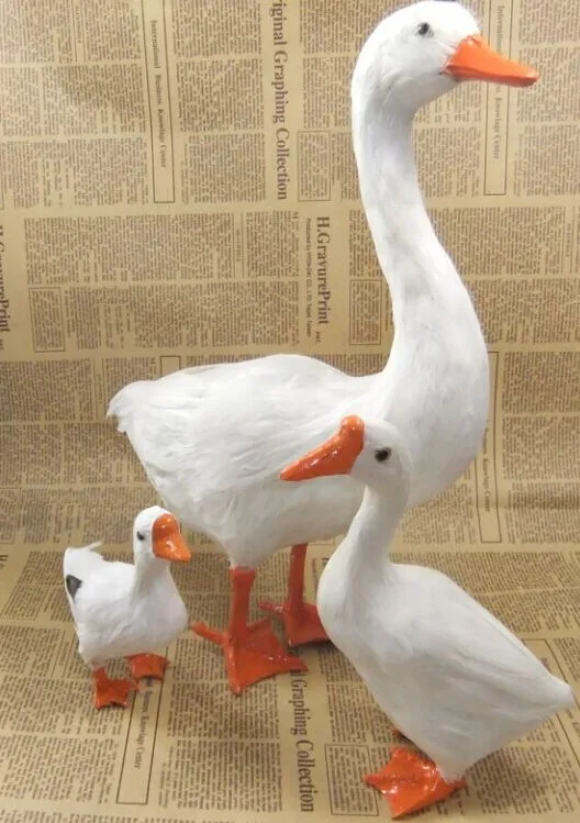 600 Gambar Bebek Banyak HD 600 Gambar Bebek Banyak HD