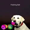Pet Products