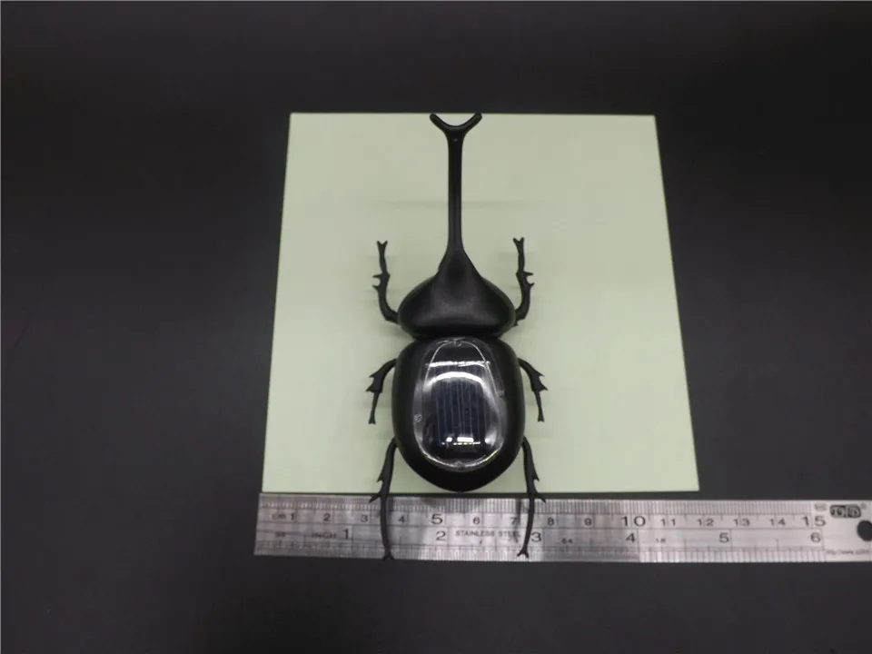 Solar-Uang-Black   (6)