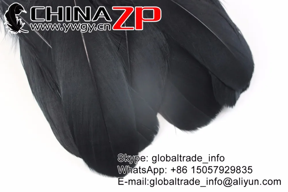 Black Soft Goose Nageoires Feathers (8)
