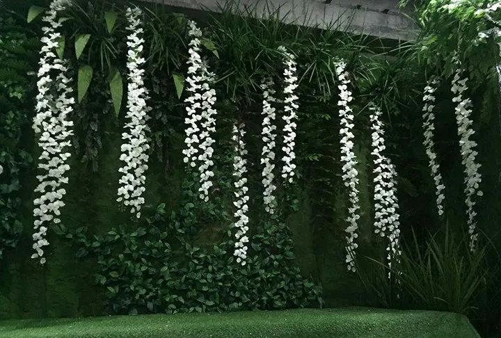 202