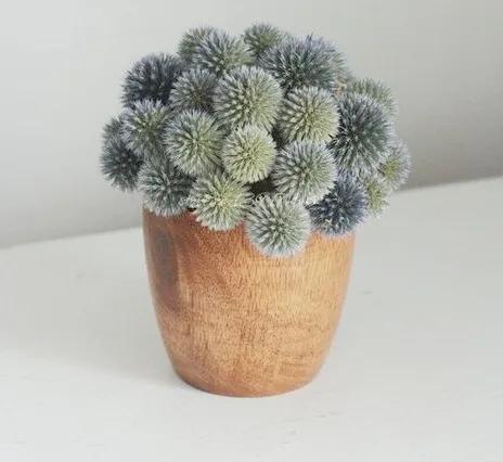 New Arrive Anese Rare Succulents Seeds 10pcs Cactus New Arrive Anese Rare Succulents Seeds 10pcs Cactus Flower Tes Bonsai Indoor Plants Flowers Pot In From Home Garden On