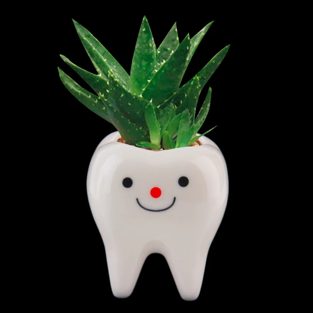 Fai da te planter promozione fai spesa di articoli in promozione ...