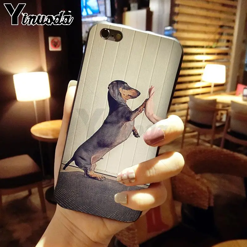 Dachshund Silhouette Dog