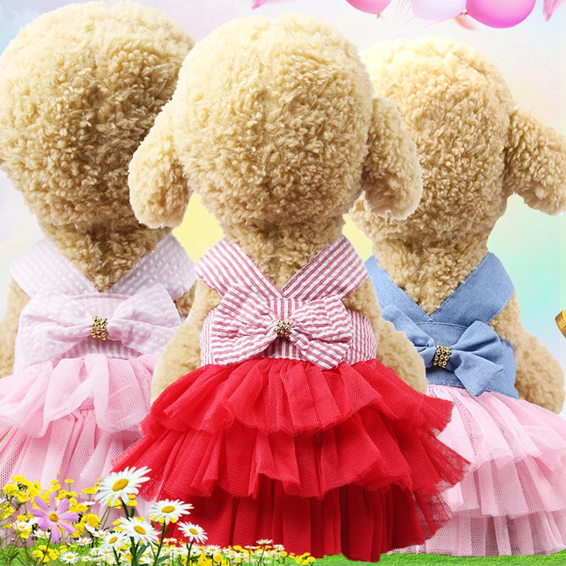 teddy bear with tutu skirt