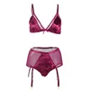 Conjunto de ropa interior Sexy de terciopelo para mujer, sujetador ultradelgado, bragas de cintura alta, conjunto de lencería transparente de talla grande, ropa erótica R80603 ► Foto 3/6