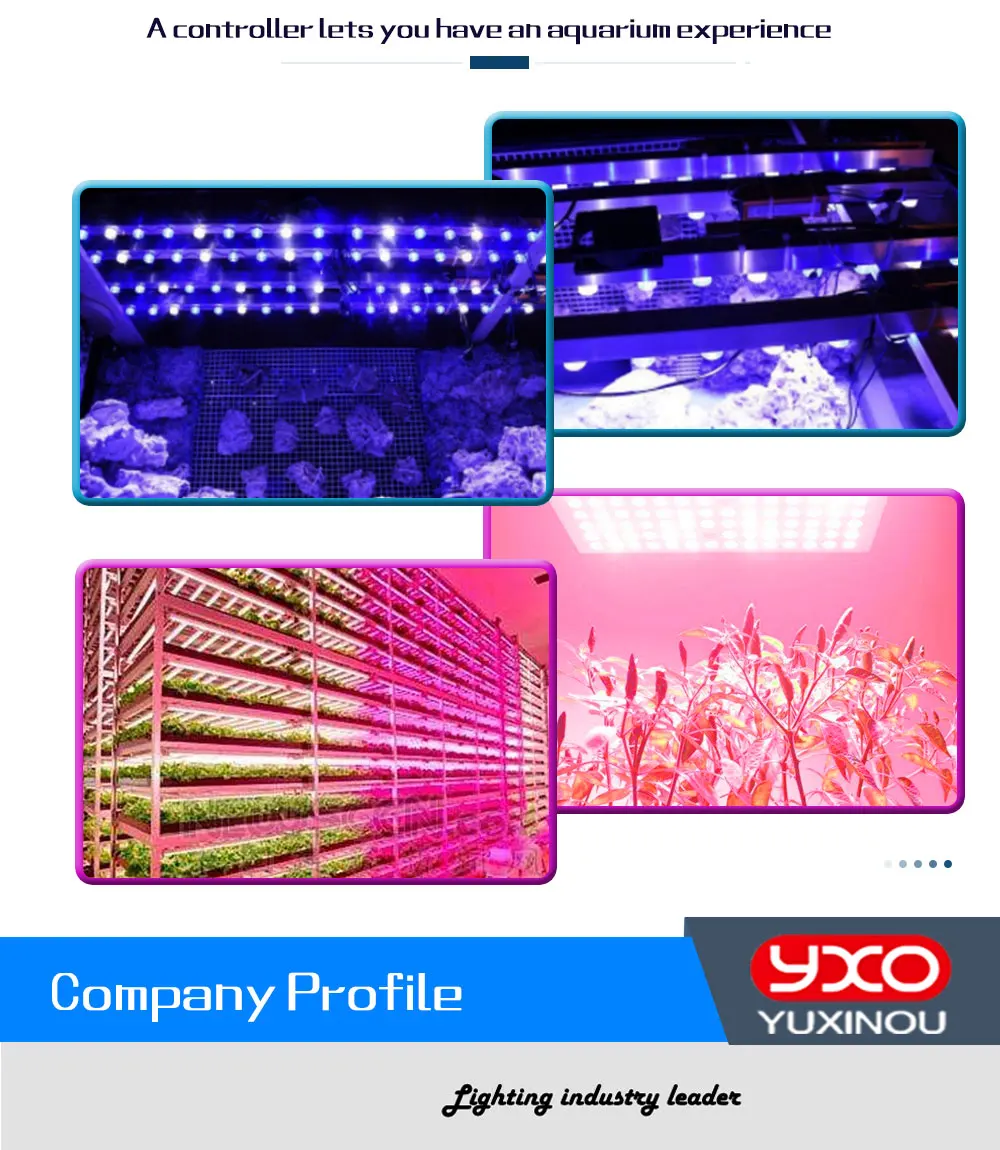 LED_09