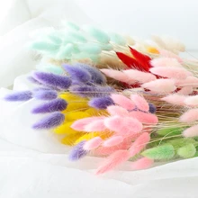 20/30/50 pçs flores secas naturais flores artificiais brancas colorido falso coelho cauda grama buquê longo cachos decoração da casa