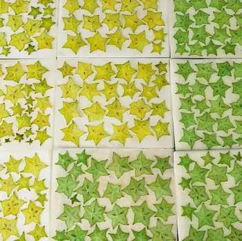 

10pcs Dried Pressed Exopy Dyed Carambola Fruits Slices Plant Herbarium For Photo Frame Phone Case Bookmark Scrapbook Craft DIY