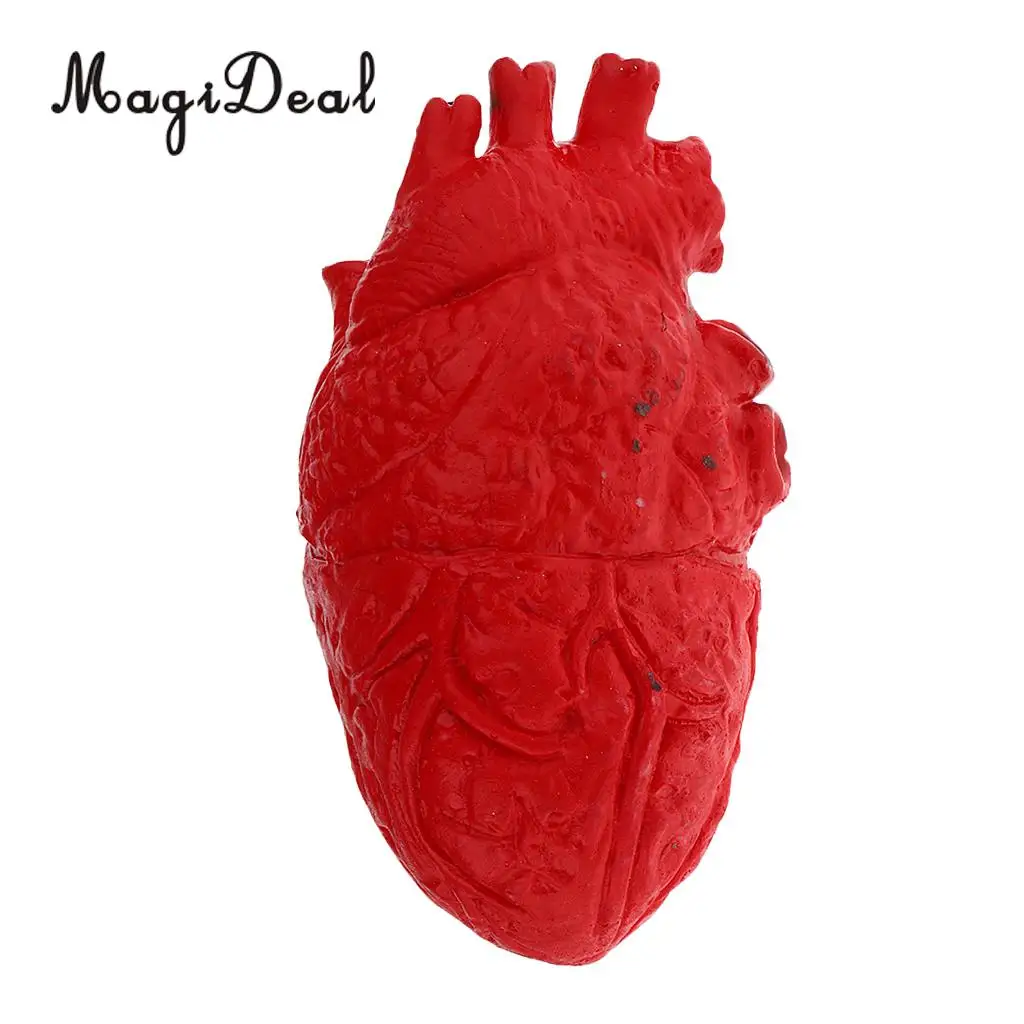 Lifelike Human Heart Model-Chop Shop Body Part Organ Halloween Horror Prop Decorations School Lab Supplies Student Toy 16cm