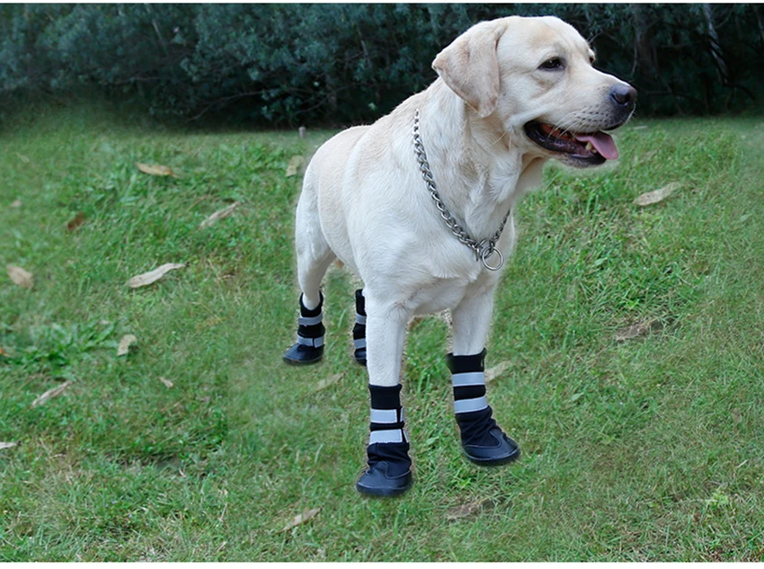Обувь для собак среднего возраста; ботиночки для собак; уличная защитная обувь для собак; Лабрадор; Чихуахуа; Зимние ботиночки для домашних животных