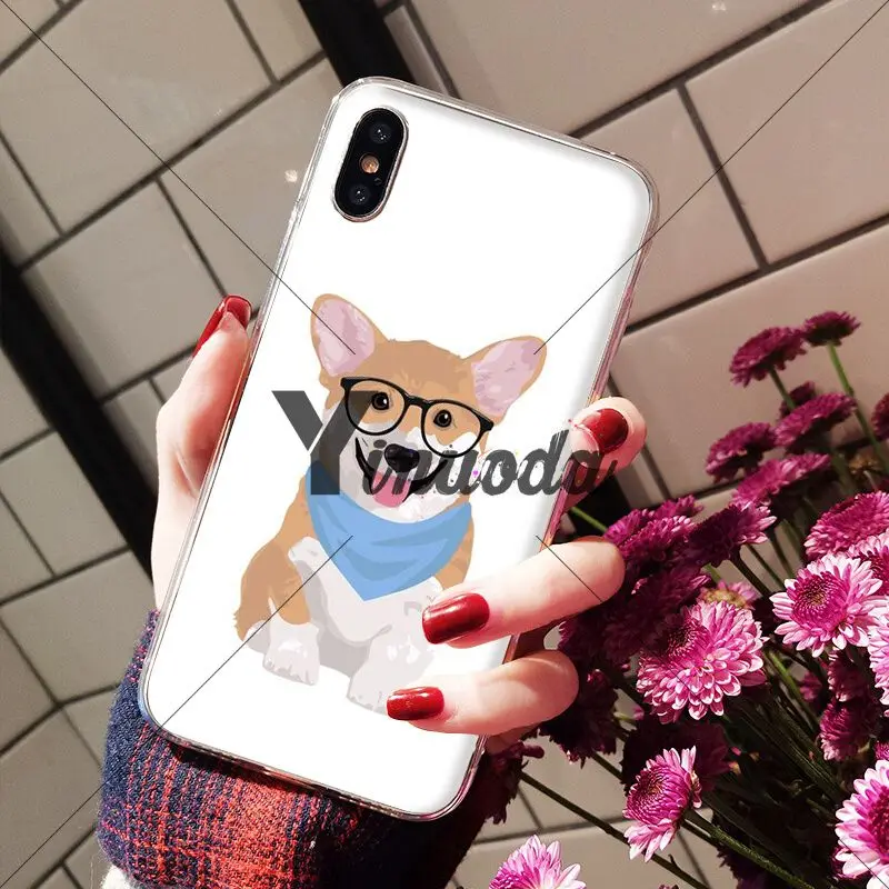 Animal cute Welsh Corgi sexy ass
