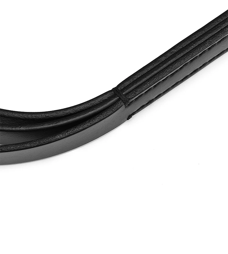 sex whip (7)