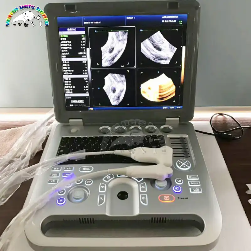 Mesin Ultrasound Doppler Warna 3D untuk Anjing Kucing Hewan 128G