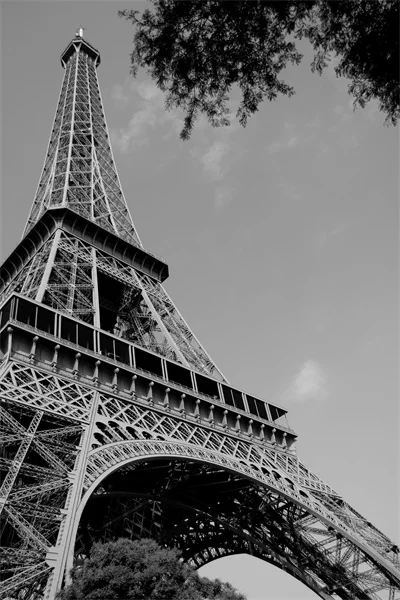 

Free Shipping Custom Eiffel Tower Poster France Wall Sticker Paris Wallpaper Classic Nice Gift Canvas Poster (50x76cm) PN-124