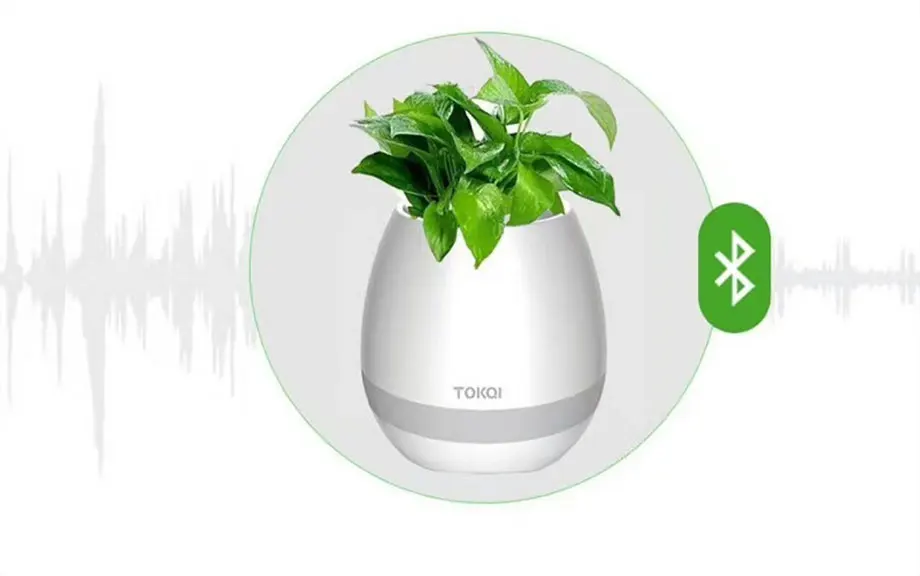 4304611889_1598661578_08