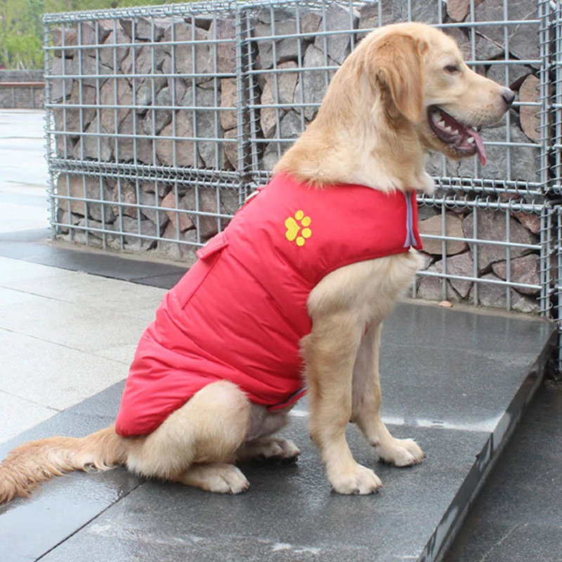 Hot Pet Dog Clothes Fashion Dog Jacket Strong Magic Buckle Design Warm Autumn And Winter For Pet Dogs XS-L
