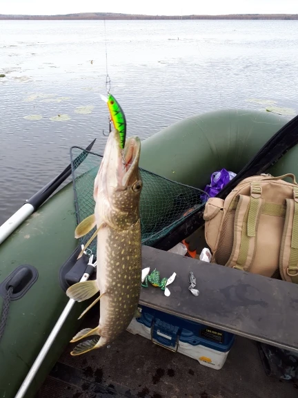 UTB8xQSrD9nEXKJk43Ubq6zLppXaX