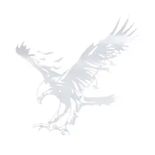 Eagle Pattern Reflective Material Car Stickers Car Engine Hood Decal Emblem black 30x20cm