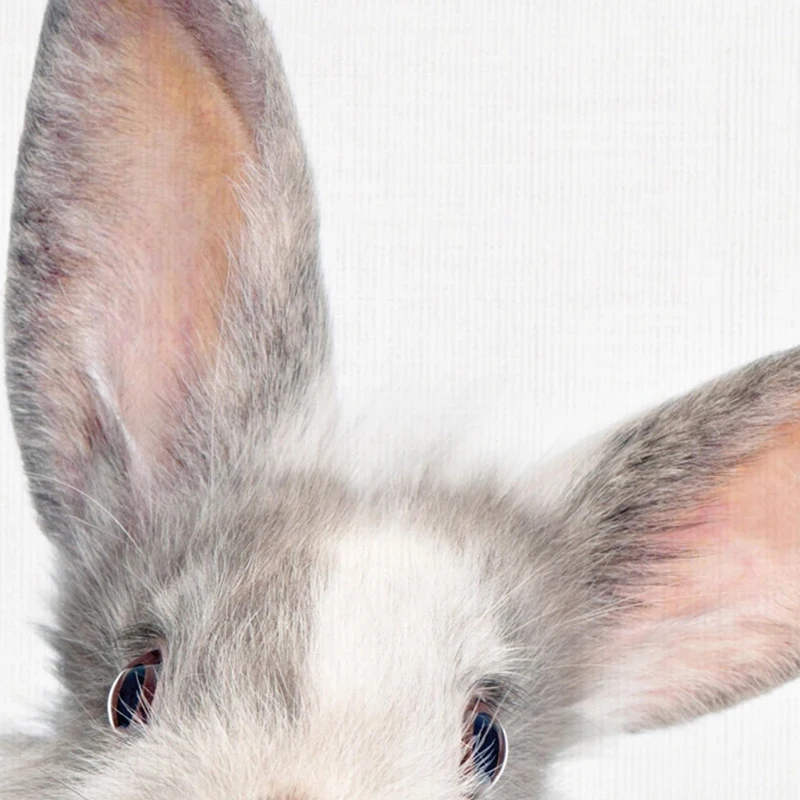Sylvie-M-Baby-Bunny-Rabbit-Animal-Print-Framed-Canvas-by-Amy-Peterson-N-A-cf7f0534-0d9e-42e6-a632-f27d4857e12e.webp