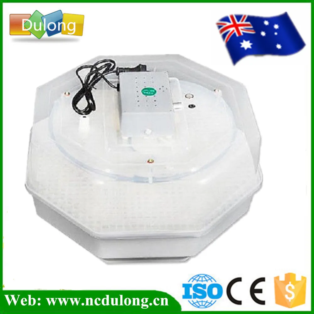 quail egg incubator amazon quail egg incubator amazon