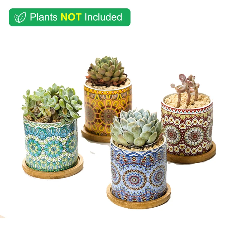 

Ceramic Succulent Cactus Planter Pot Set with Bamboo Tray nordic decoration home Home Decoration Desktop Windowsill Bonsai Pots