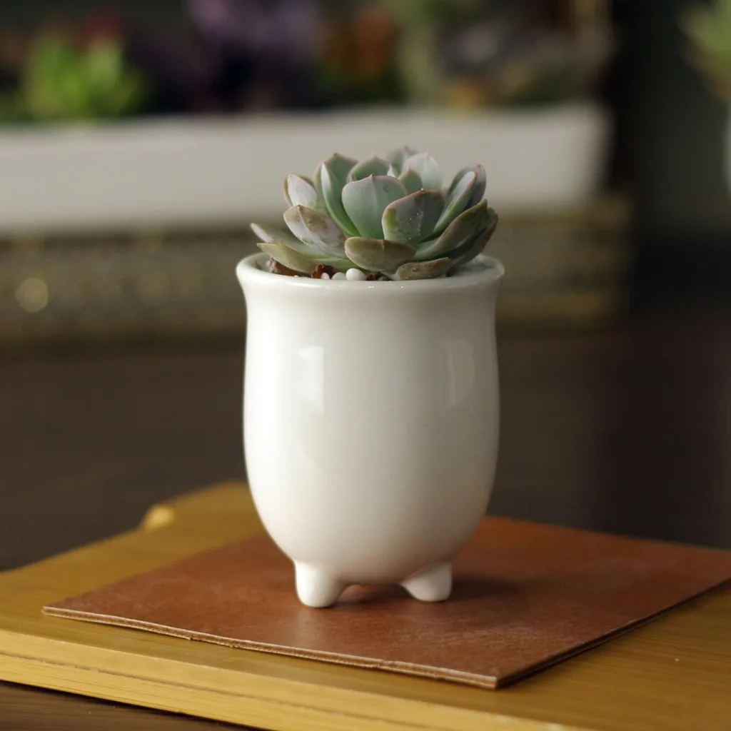 

5.7x5.7x7.5cm Simple white meat more creative mini cute ceramic pots round opening three-legged pot freeshipping