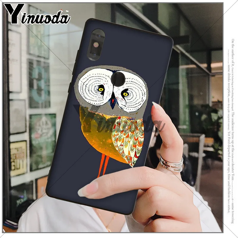 Animal Night Owl 