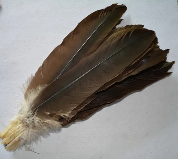 Real Feathers For Sale Arts And Crafts Real Feathers For Sale Arts And Crafts