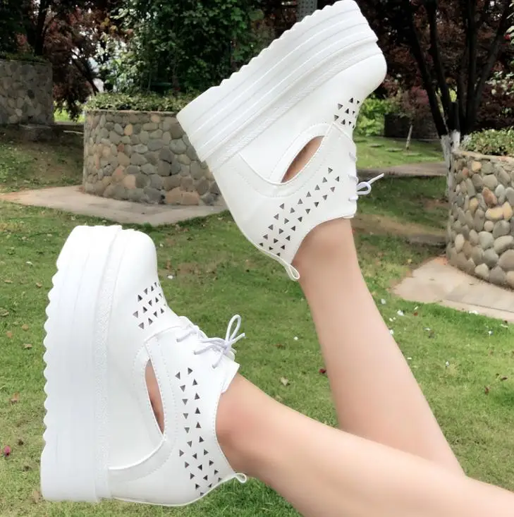 36020190502103926588