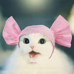 Новые забавные головные уборы для кошек, собак, домашних животных, косынка, парик Трансвестит, многоцветная повязка на голову, крутая