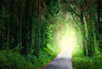 

Laeacco Fairytale Forest Bright Pathway Photography Backgrounds Customized Thin Photographic Backdrops For Photo Studio