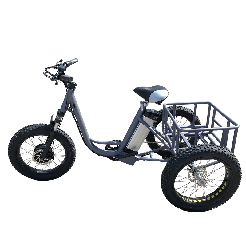 Perfect 250W 350W 500W Electric Tricycle With 36V10A Lithium Battery Brushless Gear Hub Motor 3 wheel Electric Snow Bicycle New Arrival 4