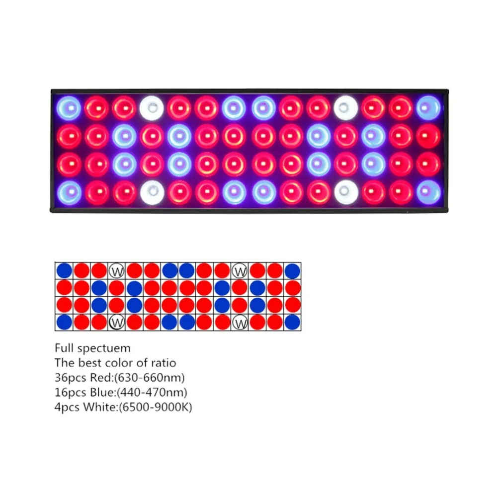 DJ913800-C-11-1