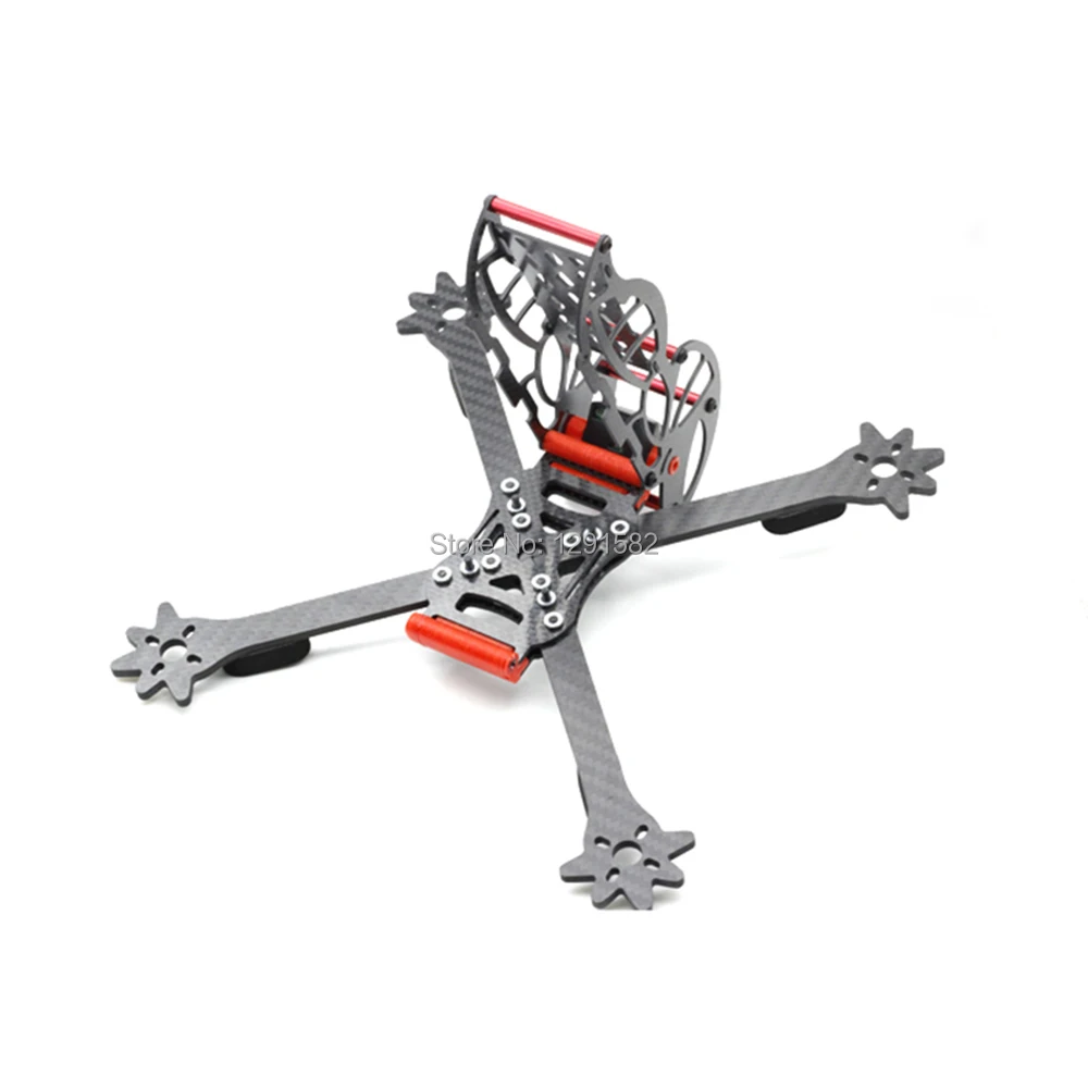Big-Headed Ant 250mm frame (7)