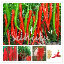 50 Pcs/Bag Long Chili Red Pepper Bonsai, Organic Healthy Vegetable Banana Bonsai Fruit Bonsai For Diy Home Gardeneasy To Grow