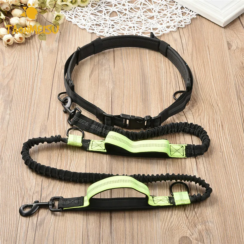 Multifunctional Double spring Dog Leash Hands Free Belt Retractable