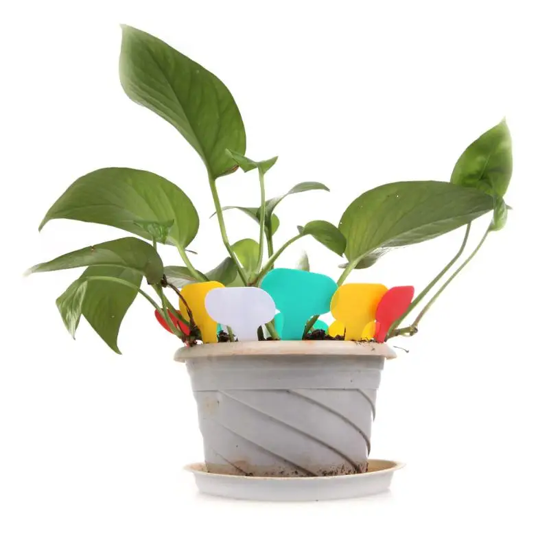 100 шт. пластиковые этикетки для растений, Т-образные пластиковые детские садовые многоразовые этикетки для цветов растений, 4 цвета