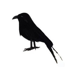 Реалистичные искусственные птицы, Пернатые ворон, Ворон, украшения для Хэллоуина, вечерние украшения для сада, дерева, Искусственные Птицы, реквизит, ремесло, Декор